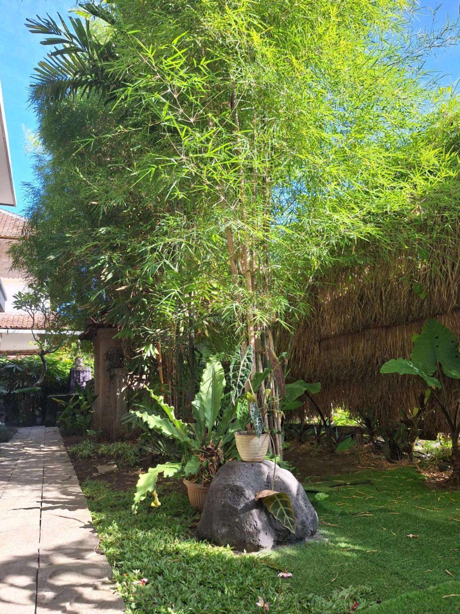 Kasapa Inn Ubud Exterior foto