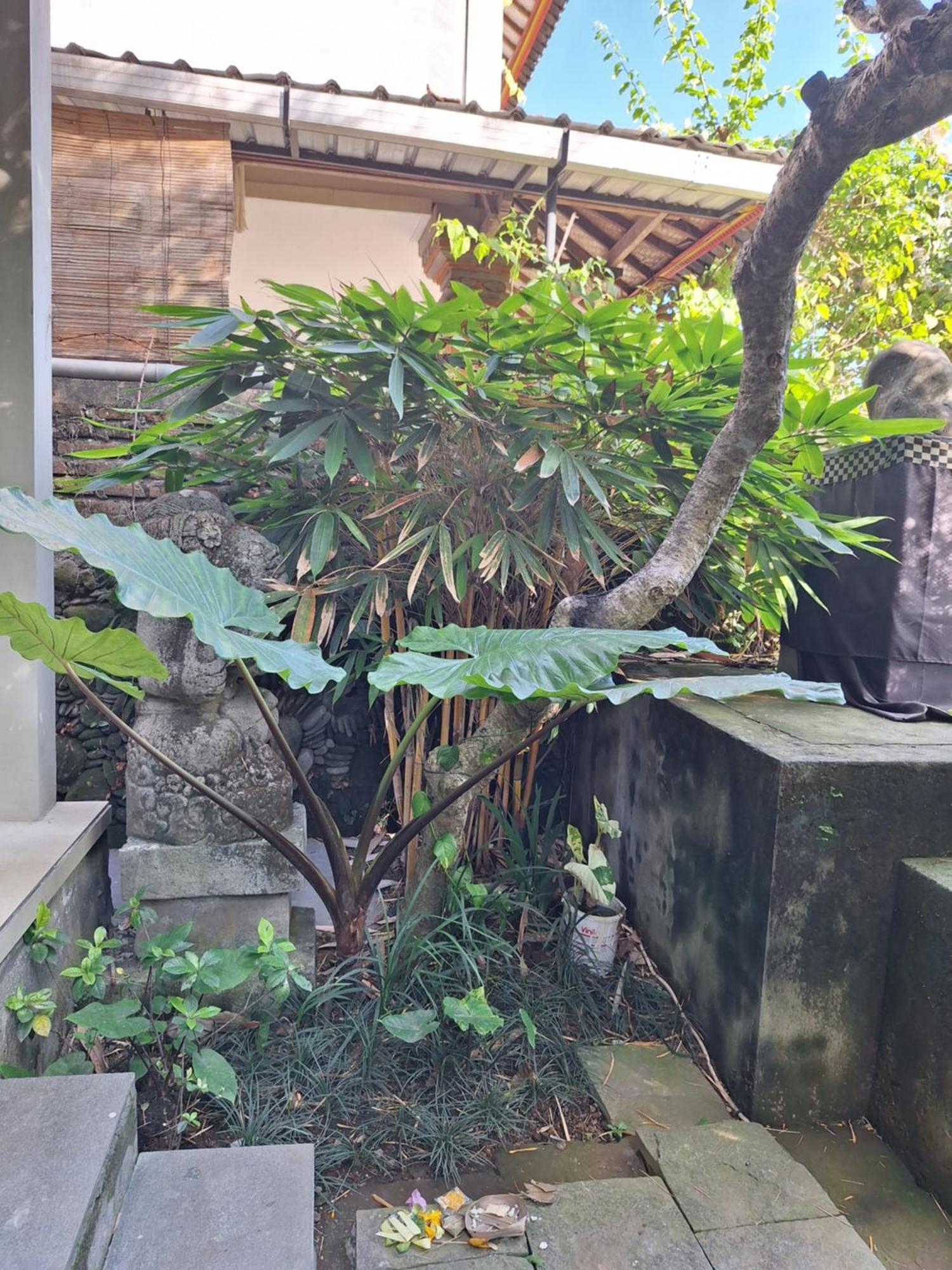 Kasapa Inn Ubud Exterior foto