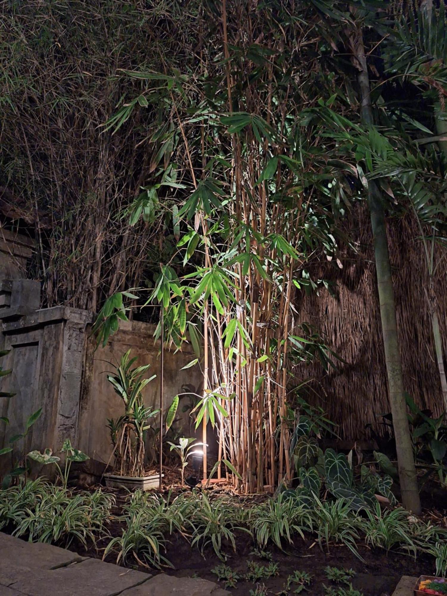 Kasapa Inn Ubud Exterior foto
